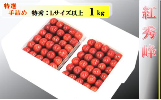 08-04-009　さくらんぼ(紅秀峰)特選手詰め1kg