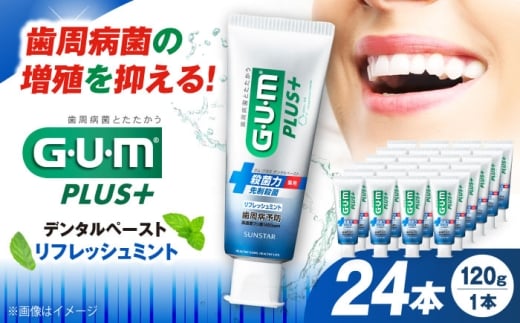 【最短7日以内発送】ガム・プラス デンタルペースト 120g×24本（リフレッシュミント） 歯磨き はみがき ハミガキ 歯磨き粉 歯みがき粉 歯ブラシ ハブラシ 薬用 医薬部外品 歯周病 虫歯 口臭 矯正 大容量 人気 定番 おすすめ 高濃度フッ素配合 歯周病予防 歯肉炎 歯槽膿漏 口臭ケア デンタルケア オーラルケア 殺菌成分 CPC 大阪府高槻市/サンスター[AOAD028]