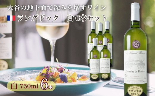 
                  大谷の天然地下蔵で深みを増すワイン　ラングドック白 6本セット【配送不可地域：離島】
                