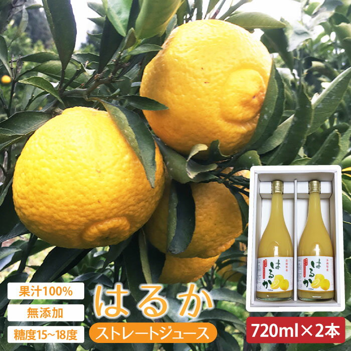 【ふるさと納税】【糖度15〜18度】無添加「はるか」果汁100％ストレートジュース（720ml×2本） 長与町/井上柑橘園 [EAA001] ジュース みかん みかんジュースストレート 100%