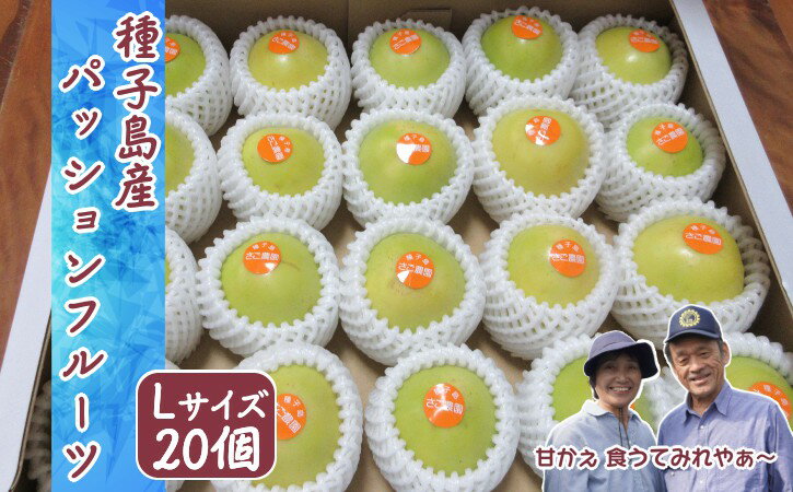 【ふるさと納税】 種子島 黄色 パッションフルーツ （20個入り） さご農園