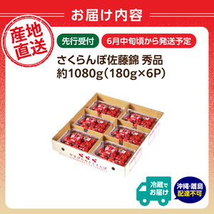【2026年度先行受付】★さくらんぼ佐藤錦★約1080g 秀品 【6月より順次発送予定】 063-010