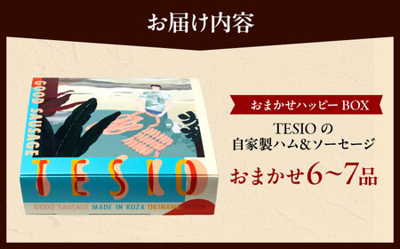 TESIOの自家製ハム＆ソーセージ 『おまかせハッピーBOX』 豚肉 ハム ソーセージ 小分け 真空パック 沖縄市 / TESIO[BCAD019]