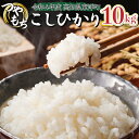 【ふるさと納税】 令和6年産コシヒカリ10kg 【S138】東洋町産 国産 白米 精米 米 コメ こめ もっちり 四国 お取り寄せ 先行予約 家庭用 自宅用 贈り物 ギフト 送料無料