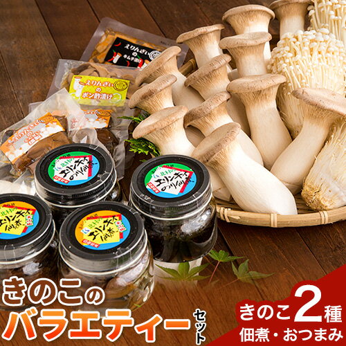※パッケージ変更※【ふるさと納税】きのこ 八頭町産きのこのバラエティーセット《90日以内に出荷予定(土日祝除く)》 北村きのこ園 鳥取県 八頭町 エノキ えのき茸 エリンギ エリンギィ 佃煮 おつまみ セット 送料無料