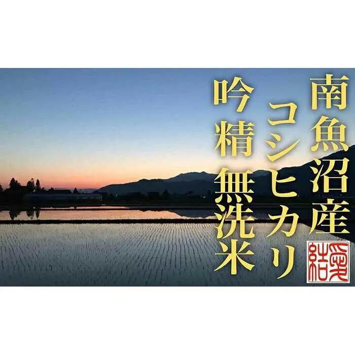 【令和7年産】【定期便6Kg×全12回【無洗米】 南魚沼産コシヒカリ【定期便 銘柄米 ブランド米 無洗米 こしひかり コシヒカリ 魚沼産 新潟米 産地直送 お米 米 こめ コメ ご飯 御飯 ごはん】