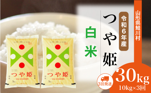 ＜令和6年産米＞山形県産 特別栽培米 つや姫【白米】30kg定期便 (10kg×3回)　 配送時期指定できます！ 鮭川村