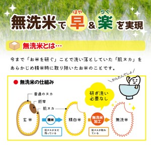 SN0022　【隔月6回定期便】［無洗米］特別栽培米 つや姫　5kg×6回(計30kg) 農家直送 AG