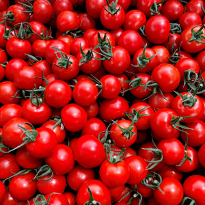 2026年発送 先行予約 フルーツトマト フルティカ 約2kg トマト トマト トマト トマト トマト