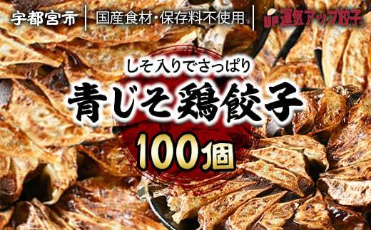 
宇都宮餃子 香り鮮やか 青じそ鶏餃子 100個 保存料不使用【 餃子 ぎょうざ 冷凍餃子 冷凍食品 惣菜 栃木県 宇都宮市 】※配送不可地域：離島
