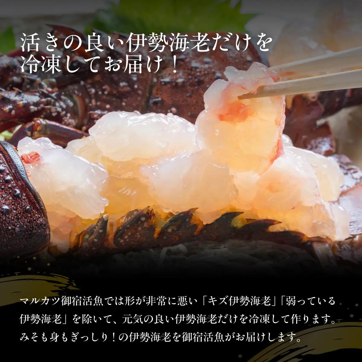 活〆生食用伊勢海老（冷凍）１０００ｇ（２５０～３００ｇ）×４匹 /  ONJB023　伊勢海老　海老　イセエビ　生食用