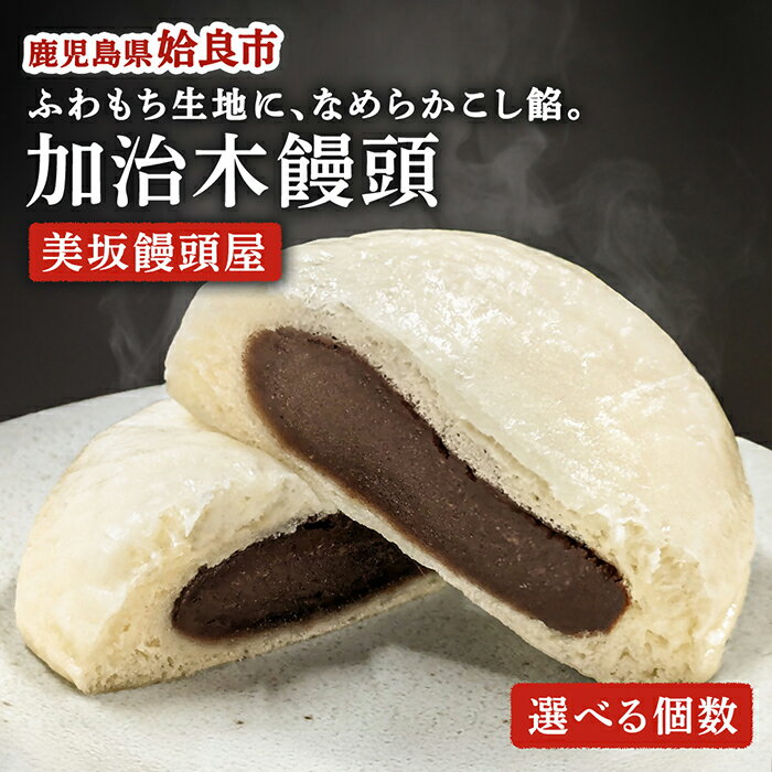 【ふるさと納税】《選べる個数》1823年創業「美坂屋」 加治木まんじゅうセット(10個・20個) 酒まんじゅう 和菓子 まんじゅう 饅頭 加治木饅頭 手づくり お菓子 おやつ スイーツ デザート お茶請け お茶菓子 郷土菓子【姶良市特産品協会】