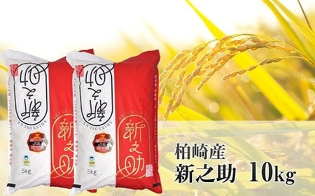 【令和5年産米】新潟県認証特別栽培米 新之助 白米 10kg（5kg×2袋） [F244]