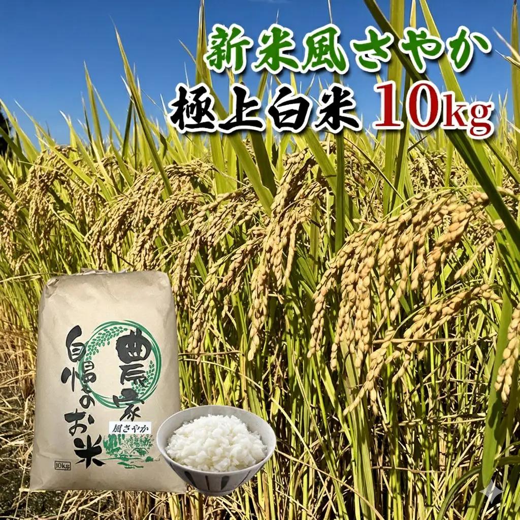 長野県産「風さやか」（10kg）【栄屋ファーム】 お米 精米 ご飯 オリジナル 新品種 旨味 甘み 爽やか もっちり 美味しい お弁当 おにぎり こだわり 安心 安全 ミネラル たっぷり 