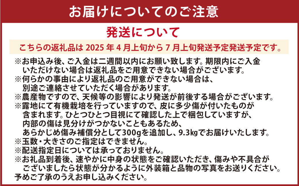 特別栽培河内晩柑 7kg サイズミックス 