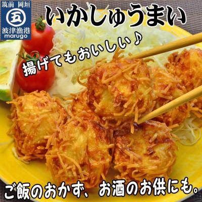 ふるさと納税 岡垣町 【発送月固定定期便】いかしゅうまい30個　ツヤツヤぷるるんっ。(岡垣町)全6回 |  | 01