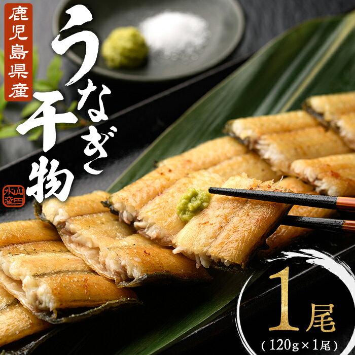 【ふるさと納税】鹿児島県産 うなぎ干物 1尾(120g以上) 鰻 うなぎ 干物 干し物 おつまみ 珍味 焼酎 ビール 日本酒 家飲み 宅飲み 白焼き 冷凍 小分け 鹿児島県 垂水市【山田水産】W-1805