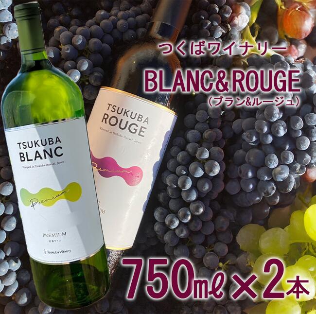 【ふるさと納税】TSUKUBA BLANC & ROUGE プレミアムセット | お酒 葡萄 ぶどう ブドウ 茨城県 つくば市 ワイナリー ワイン 赤ワイン 白ワイン