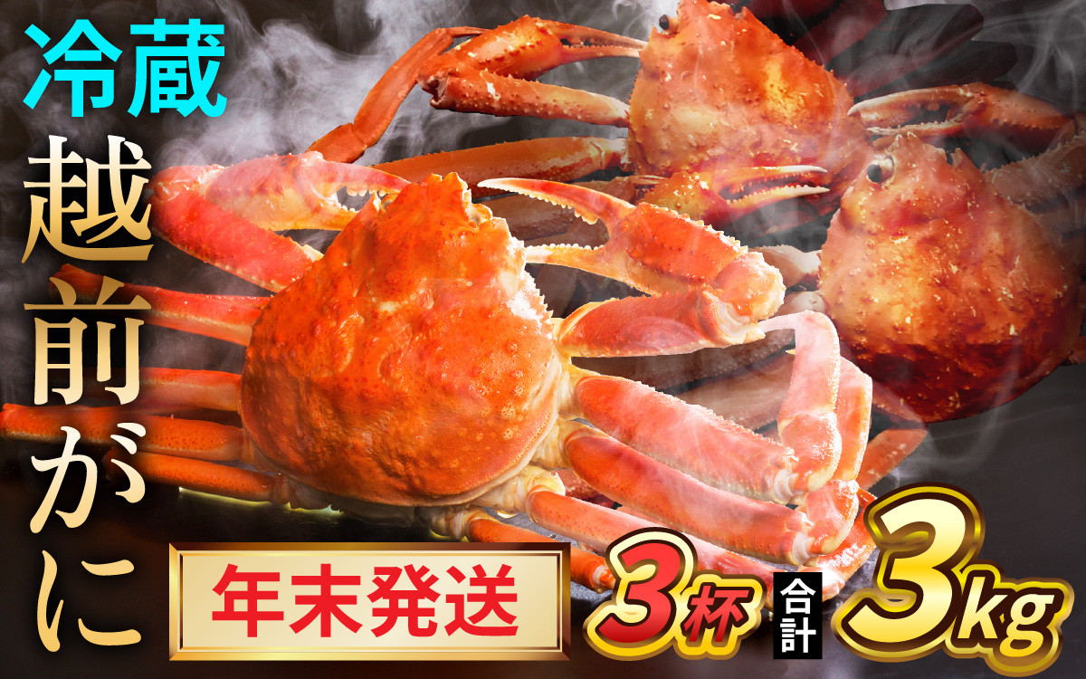
            【先行予約/12月25日より順次発送】【年末希望】 越前がに 1kg×3杯 ズワイガニ ずわいがに ボイル 冷蔵 小浜市 / まるほ商店 【配送不可地域：北海道・沖縄・離島】[BFCS047]
          