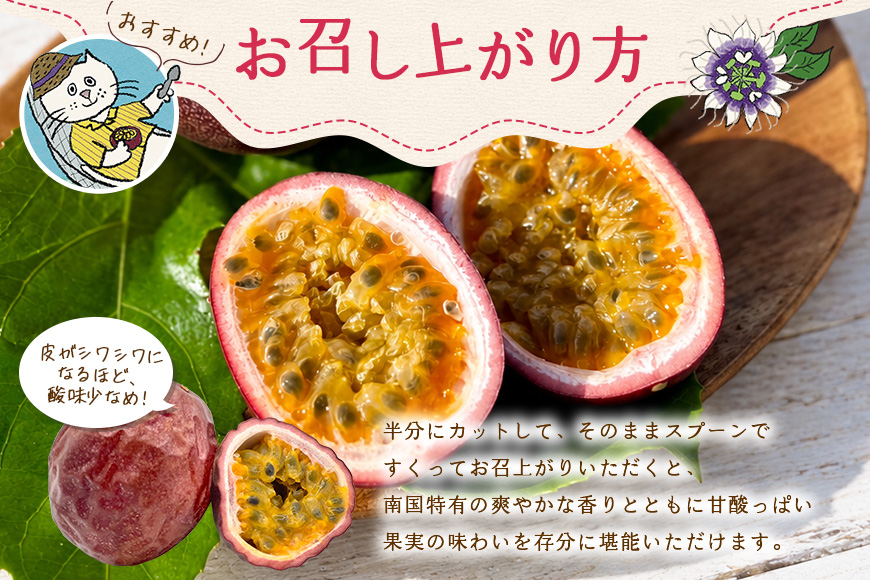 【2027年先行予約】【情熱のタマ】奄美産パッションフルーツ 3.5kg（45玉前後）　A203-001-02
