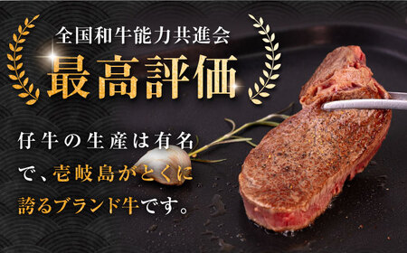 壱岐牛 シャトーブリアン 120g×3枚《壱岐市》【中津留】[JFS006] 肉 牛肉 和牛 ヒレ ステーキ ヒレステーキ 3枚 冷凍配送 48000 48000円 九州