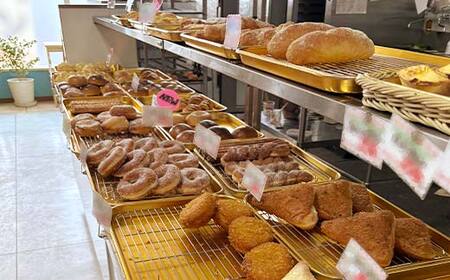 【期間限定！寄附額改定↓！】【3か月連続定期便】家計応援！大満足 市場のパン屋さんロスパンセット 15～20個 パン詰め合わせ セット おまかせ 訳あり 総菜パン 菓子パン パン セレクトパン セット