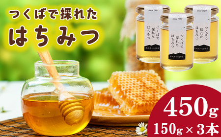 つくばで採れたはちみつ 150g×3 本【 茨城県 つくば市 はちみつ ハチミツ 蜂蜜 蜜蜂 みつばち ミツバチ 養蜂 】