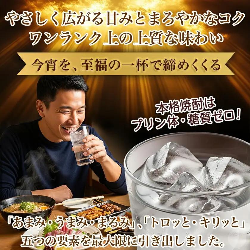 【ちび霧セット】黒霧島EX25度900mlパック×2本≪みやこんじょ特急便≫〔LG8-M803〕_(都城市) 10日以内お届け スピード配送 霧島酒造 黒霧島EX 本格芋焼酎 25度 900mlパック