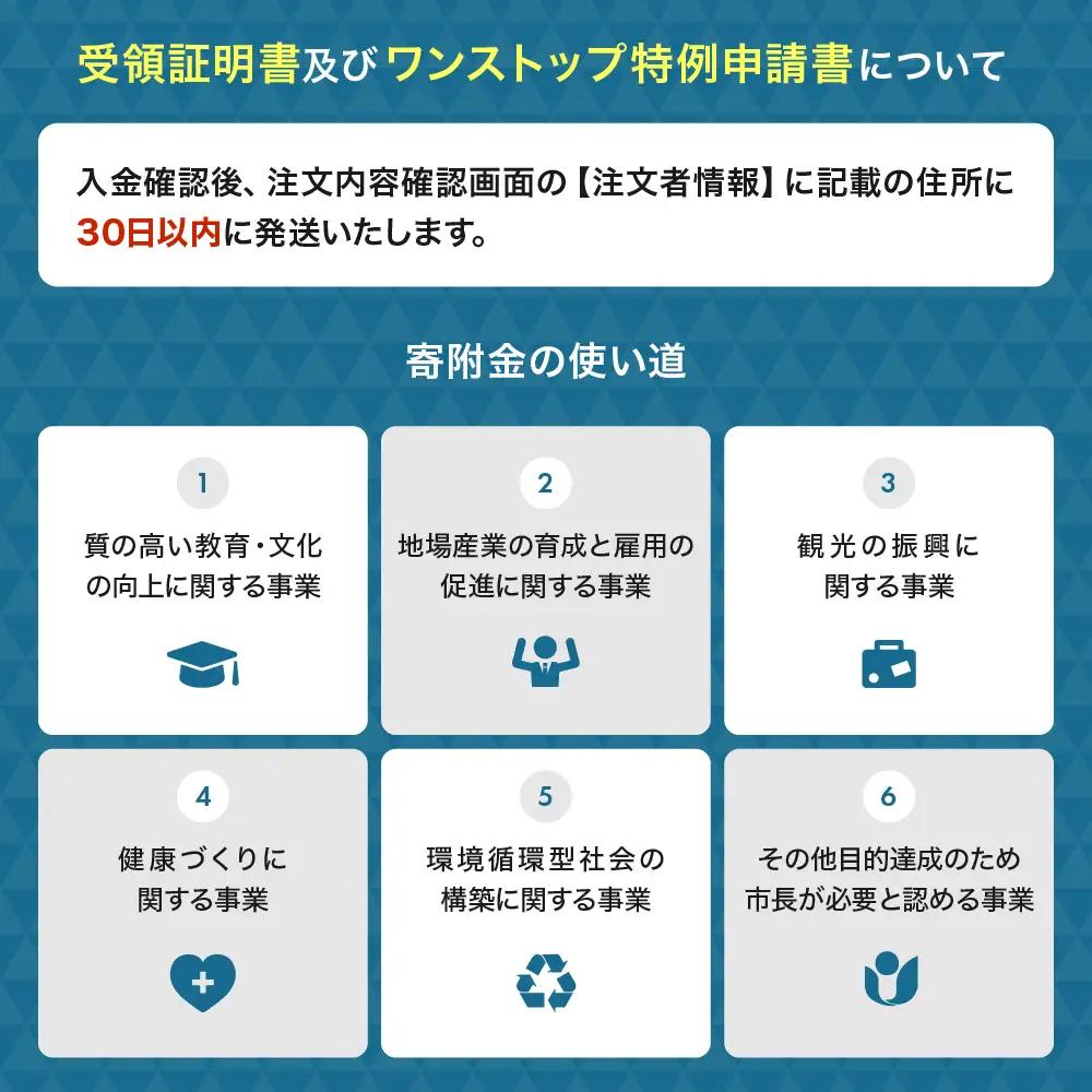 先行予約 訳あり みかん サイズミックス 約5㎏（ 3S～3L）【2026年10月上旬～2027年2月下旬発送予定】