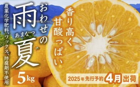 【先行予約 ４月出荷】  おわせの雨夏（あまなつ）  5kg　無農薬 ワックス・防腐剤不使用 木成り 完熟 甘夏  ギフト 贈答 日用 でも使える 三重 尾鷲 の 柑橘 特産品  TK-13