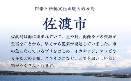 佐渡産　一夜干しいか1袋2枚×２