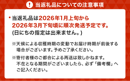 いちご  先行予約 【2026年1月発送】季節限定！ 新鮮朝摘みいちご「さがほのか」約1.5kg （250g×6パック）