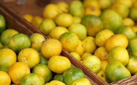 【先行予約】和歌山由良町産 由良早生みかん 約5kg 訳あり キズ 御家庭用 サイズ混合【sml135】