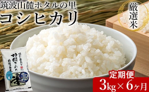 【定期便 6ヶ月】令和7年産 筑波山麓ホタルの里厳選米コシヒカリ3kg　透き通った大粒米　※離島への配送不可　※2025年10月下旬頃より発送開始