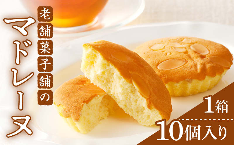 【2週間以内発送】老舗菓子舗のマドレーヌ計10個 焼き菓子 スイーツ 詰め合わせ 洋菓子_T035-0021