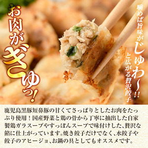 餃子 鹿児島黒豚「短鼻豚」無添加餃子セット48個【鹿児島ますや】a441