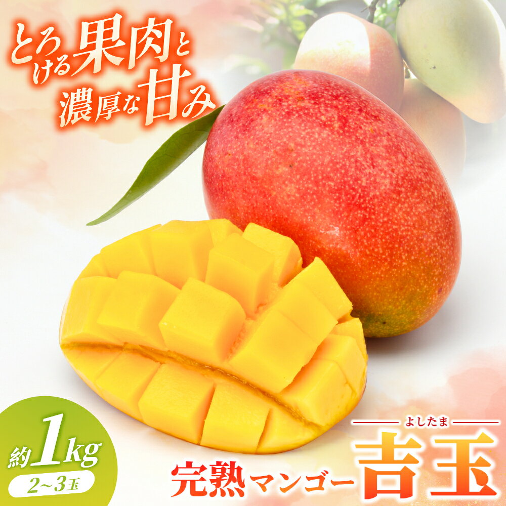 【ふるさと納税】 ◆先行予約◆和歌山県産　紀州完熟マンゴー『吉玉』約1kg程度／2〜3玉入り【2026年8月中旬から9月下旬頃順次発送予定】【MG20】 | フルーツ 果物 くだもの 食品 人気 おすすめ 送料無料