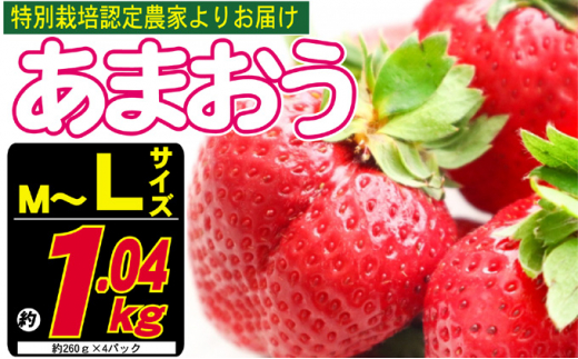 
あまおう M～L 約1.04kg 約260g×4パック ※配送不可：北海道・東北・沖縄・離島
