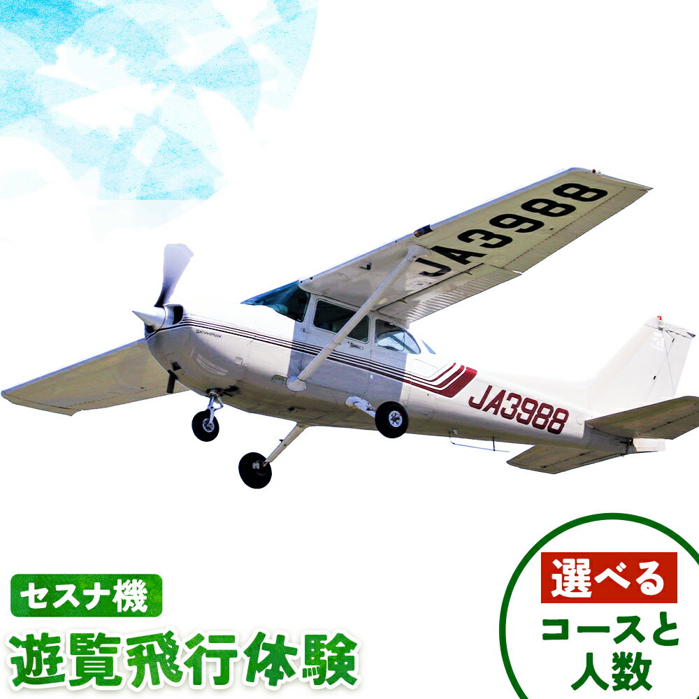 【ふるさと納税】セスナ機遊覧飛行体験 選べる ペア or 3名11コース 新中央航空株式会社《30日以内に出荷予定(土日祝除く)》茨城県 河内町 スカイスポーツ パイロット 大利根飛行場 選べる体験内容 モーターグライダー 飛行機 グライダー【配送不可地域あり】