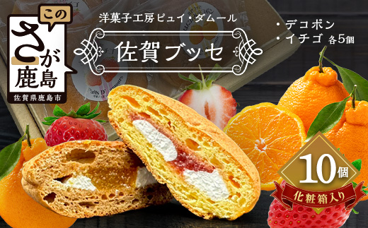 佐賀ブッセ 10個入り（イチゴ・デコポン 各5個）焼き菓子 洋菓子 お菓子 可愛い 美味しい 佐賀県 鹿島市 A-236