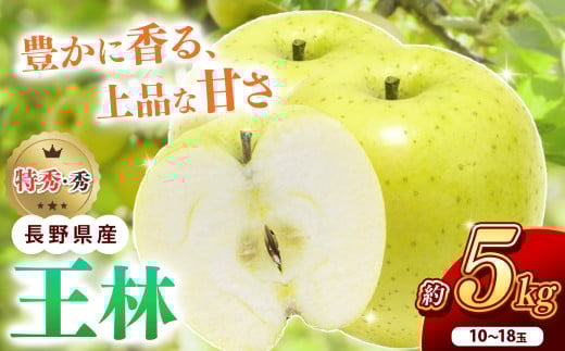 南信州産 王林 約5kg 秀品 10～18玉 | 王林 おうりん 林檎 りんご リンゴ 信州 南信州 送料無料 ふるさと納税 長野県 飯田市