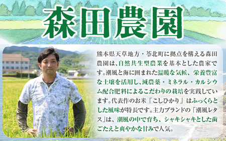 米 白米 コシヒカリ 令和8年産 5kg 森田農園