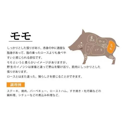 【ジビエ】平戸いのしし モモブロック肉(1.3kg以上)  / 猪肉 イノシシ 人気　