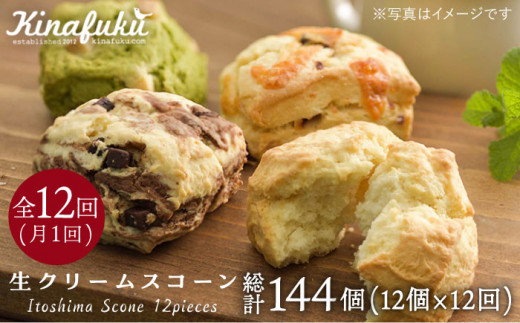 【 全12回 定期便 】 スコーン の イメージ 変えてみませんか ？ 定番 スコーン 12個 セット 焼き菓子 焼菓子 洋菓子 スイーツ パン《糸島》【キナフク】 [AFA003]