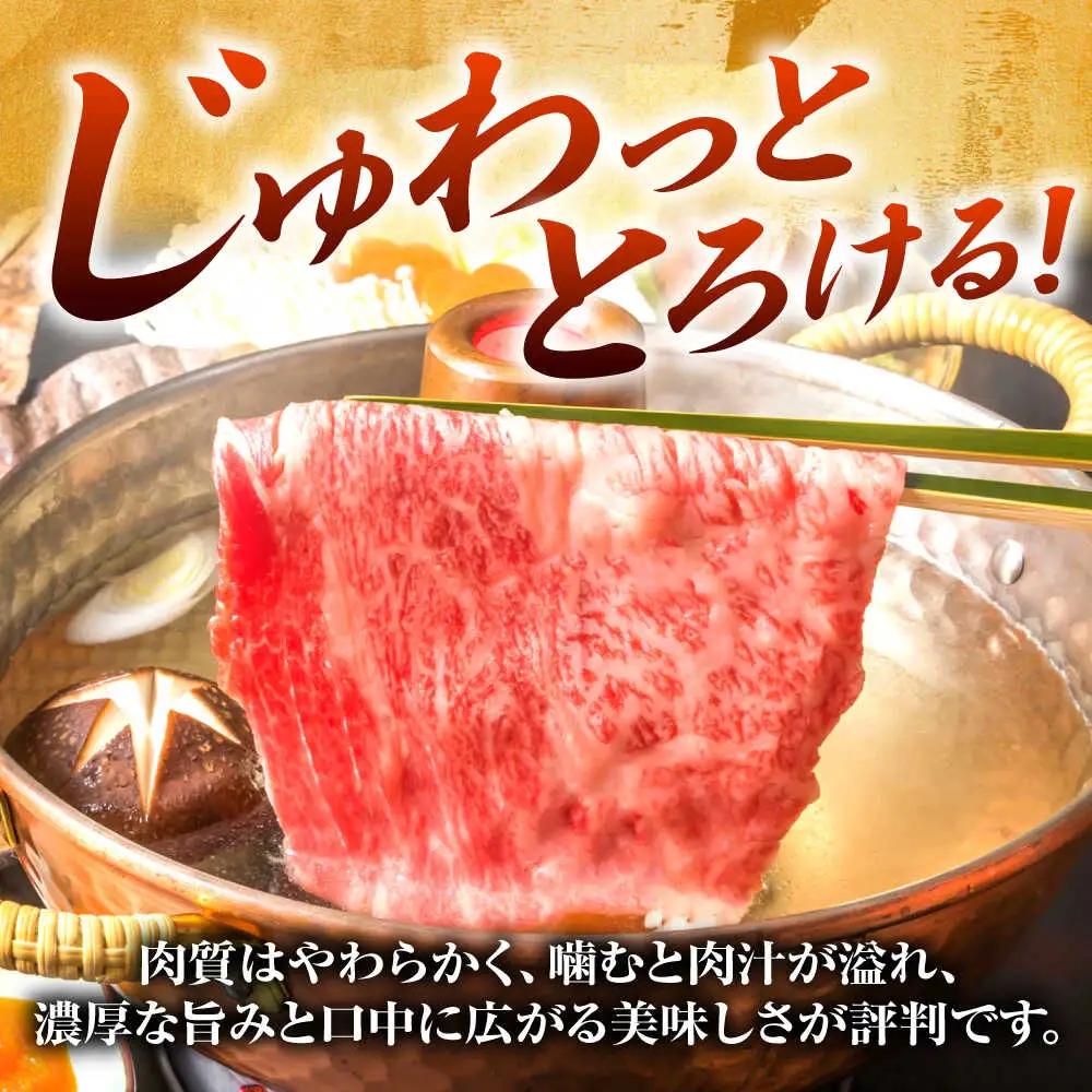 【A4-A5】博多和牛 大判霜降り 贅沢切り落とし 750g (250g×3P) [BGAB110]