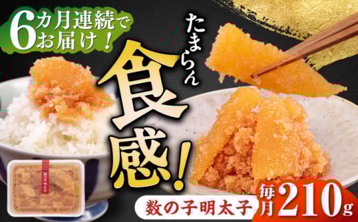 【全6回定期便】数の子明太子210g《築上町》【株式会社マル五】 [ABCJ091] 56000円