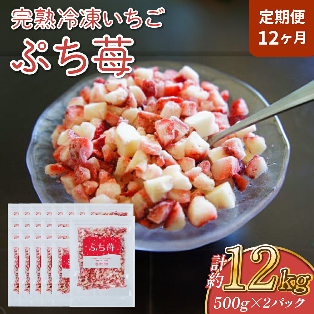 【ふるさと納税】【定期便12ヶ月】完熟 冷凍 いちご ぷち苺 500g×2パック 園村苺園 定期便 1回あたり 合計1kg 12回定期便 合計12kg 12ヶ月 連続 イチゴ 苺 さちのか フルーツ 果物 デザート パック 急速冷凍 贈答品 贈り物 のし対応 国産 九州産 熊本県産 宇城市産