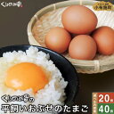 【ふるさと納税】 平飼い おぶせのたまご 選べる内容量 20個 40個［くりのみ園］ 卵 玉子 生卵 鶏卵 長野県産 小布施町産 信州