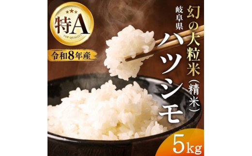 ＜先行受付＞令和8年産　岐阜県産ハツシモ(精米)5kg【1757855】