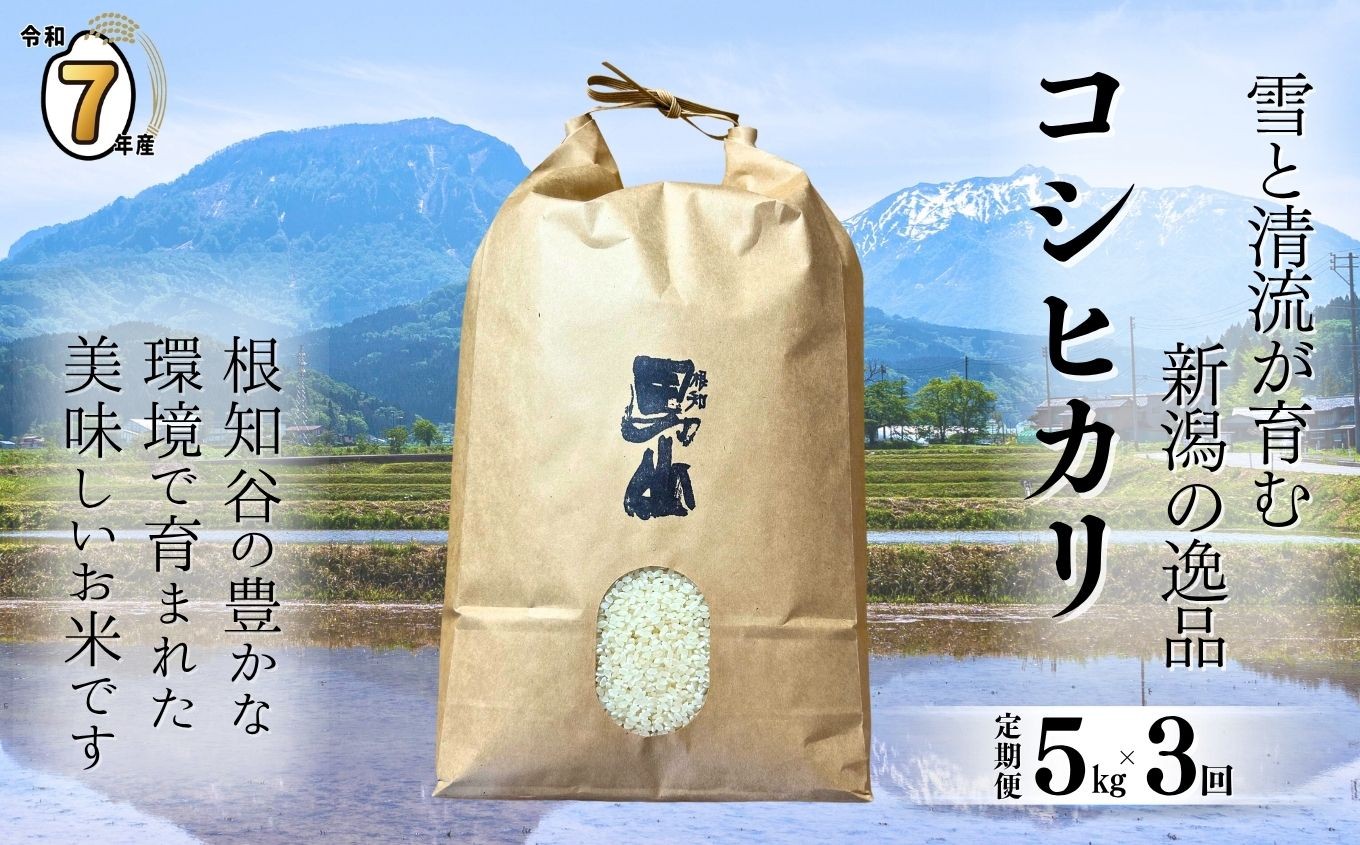 
            【選べる初回発送時期】令和7年産新米予約【定期便】新潟県糸魚川産コシヒカリ 5kg×3ヶ月 計15kg 2025年産 根知男山の酒蔵が作る自慢の逸品【米 お米 白米 こめ コメ ご飯 ライス ふるさと納税米 ブランド米 こしひかり 新潟県 糸魚川 2025年 食品 人気 おすすめ 5キロ 渡辺酒造店 減農薬 3回 3か月 毎月お届け】
          